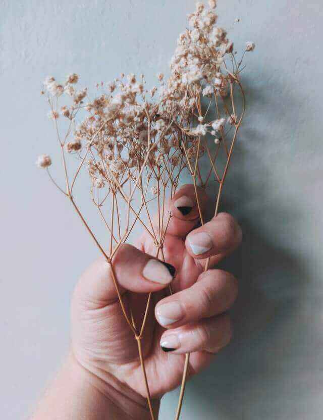 Hand with black and white nail design holds a dried flower